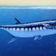 Possible look of the newly discovered predatory fish species Birgeria americana with the fossil of the skull shown at bottom right. Artwork: Nadine Bösch